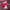 https://res.cloudinary.com/billionhands/image/upload/v1775390701/items/fnof2efidz9vsfpjv12w.jpg-2cover