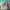 https://res.cloudinary.com/billionhands/image/upload/v1775391454/items/vimoko00b9we6yjulpgz.webp-0cover