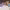 https://res.cloudinary.com/billionhands/image/upload/v1775392817/items/ukdohb6kognnt7xhl6wf.webp-1cover