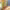 https://res.cloudinary.com/billionhands/image/upload/v1775393780/items/yhggpykpvaj9landknno.webp-0cover
