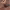 https://res.cloudinary.com/billionhands/image/upload/v1775395340/items/wuhtwcabkenausrtptv0.webp-0cover