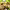 https://res.cloudinary.com/billionhands/image/upload/v1775396399/items/z1nzqkq2tpw3agly5fwg.jpg-2cover