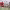 https://res.cloudinary.com/billionhands/image/upload/v1775396569/items/fzq7lxdhw3lsuf86sp90.jpg-1cover