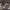 https://res.cloudinary.com/billionhands/image/upload/v1775396649/items/yahdpanvgjleengajoh3.jpg-0cover