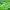 https://res.cloudinary.com/billionhands/image/upload/v1775396650/items/wupzcl9fucp9cfscv3ca.jpg-0cover