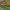 https://res.cloudinary.com/billionhands/image/upload/v1775396651/items/bw3igpubtf7ajszkp5vz.jpg-3cover
