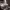 https://res.cloudinary.com/billionhands/image/upload/v1775397730/items/xtlaqnc4bv3wglkmuaxd.webp-1cover