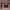 https://res.cloudinary.com/billionhands/image/upload/v1775400252/items/lqx7mbhxczg470iswfaw.jpg-3cover
