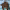 https://res.cloudinary.com/billionhands/image/upload/v1775401655/items/jr0mghlpfdsnxjzx4qyk.jpg-2cover