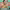 https://res.cloudinary.com/billionhands/image/upload/v1775402022/items/uhacplufqt5azeduwzwt.jpg-0cover