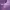 https://res.cloudinary.com/billionhands/image/upload/v1775402025/items/ogbsjch72qwgklbytdla.jpg-2cover