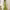 INVITADISIMA - Green midi dress with ruched halter neck and open back (Current) cover