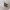 https://res.cloudinary.com/billionhands/image/upload/v1775405031/items/r24bkint75pcglsjk7qg.jpg-2cover