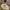 https://res.cloudinary.com/billionhands/image/upload/v1775405033/items/dux0n2ou4ixglwlrudrk.png-2cover