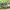 https://res.cloudinary.com/billionhands/image/upload/v1775405035/items/mvz6pxiptgvkx3hrrclf.jpg-2cover