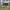 https://res.cloudinary.com/billionhands/image/upload/v1775405800/items/lqjxouxcllot3arxo4uh.jpg-0cover