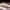 https://res.cloudinary.com/billionhands/image/upload/v1775406461/items/bmshvyt70lb4dpgorgze.webp-0cover