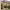 https://res.cloudinary.com/billionhands/image/upload/v1775408928/items/sop5ytthsed71j4xazqo.jpg-0cover