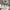 https://res.cloudinary.com/billionhands/image/upload/v1775408931/items/zr169flojgmrzxm90pig.webp-3cover