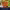 https://res.cloudinary.com/billionhands/image/upload/v1775409133/items/bgls7p8pgzmq766qhoj2.jpg-2cover