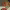 https://res.cloudinary.com/billionhands/image/upload/v1775409433/items/eo5vjnqgwoialybr5osp.jpg-0cover