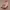 https://res.cloudinary.com/billionhands/image/upload/v1775410095/items/klwrwa4dhnpjyg6kmzev.png-0cover