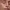 https://res.cloudinary.com/billionhands/image/upload/v1775410104/items/q5xxivgltp1zi8bnydyz.webp-0cover
