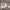 https://res.cloudinary.com/billionhands/image/upload/v1775410971/items/syk58pnrl17avet5jrhi.jpg-3cover