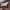 https://res.cloudinary.com/billionhands/image/upload/v1775412309/items/mf3edwzbgj4eldbk24do.webp-2cover