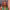 Premiere of 'Jugando con fuego: España' (Netflix) (June 2025) cover