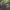 https://res.cloudinary.com/billionhands/image/upload/v1775414079/items/sqhvxsayeosoawbhzgp6.webp-1cover