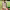 https://res.cloudinary.com/billionhands/image/upload/v1775415116/items/rhfxynah5egiw70gbdl6.jpg-1cover