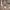 https://res.cloudinary.com/billionhands/image/upload/v1775416124/items/obo4zfhndhzogu2snthe.webp-3cover