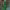 Emerald Green Dress (Atonement) cover