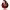 https://res.cloudinary.com/billionhands/image/upload/v1775416895/items/jipwh4y65jnvmigzzeks.jpg-2cover