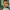 https://res.cloudinary.com/billionhands/image/upload/v1775416896/items/fnvfdpc74tqzoi5rvrr0.webp-2cover
