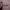 https://res.cloudinary.com/billionhands/image/upload/v1775417272/items/g4feuua36tefoqrxodqx.jpg-1cover