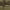 https://res.cloudinary.com/billionhands/image/upload/v1775417423/items/jxcimirmmjqpn8zo30rp.jpg-1cover
