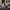 https://res.cloudinary.com/billionhands/image/upload/v1775417486/items/aronfmiutxiwgt6xzgrb.jpg-3cover
