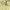 https://res.cloudinary.com/billionhands/image/upload/v1775417567/items/ncjm7n1bc51pf4lq9ozd.jpg-3cover