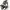 https://res.cloudinary.com/billionhands/image/upload/v1775418412/items/dnf3emf7qst2qgkvpblz.webp-0cover