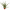 https://res.cloudinary.com/billionhands/image/upload/v1775418449/items/ncucivpg18br2q2sgi6l.webp-1cover