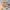 https://res.cloudinary.com/billionhands/image/upload/v1775418619/items/ssebotwpdtgr0yerbf7f.webp-2cover