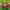 https://res.cloudinary.com/billionhands/image/upload/v1775419274/items/bvcdrmzxa0bijhxnf1nq.jpg-2cover