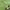https://res.cloudinary.com/billionhands/image/upload/v1775419274/items/xo5r7z0qrj2usjnwxomk.jpg-0cover