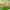 https://res.cloudinary.com/billionhands/image/upload/v1775419277/items/eeaao5tggfpbprx3ymk2.webp-3cover