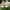 https://res.cloudinary.com/billionhands/image/upload/v1775420143/items/bzl9snzgrzijmwowbfko.webp-2cover