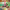 https://res.cloudinary.com/billionhands/image/upload/v1775421012/items/f2dremvh1yo813ic9kqw.jpg-3cover