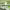 https://res.cloudinary.com/billionhands/image/upload/v1775421043/items/mgqd7thkt2rengmqcpiw.jpg-2cover