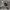 https://res.cloudinary.com/billionhands/image/upload/v1775421738/items/yws0qtfyokodpkkhp5w6.webp-0cover